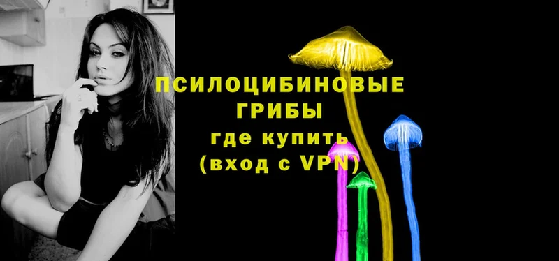 Галлюциногенные грибы Cubensis  что такое наркотик  Алатырь 